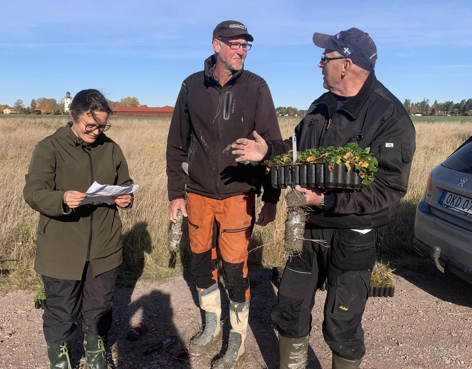 Planteringsdags: Våtmarken fylld med vatten efter torsdagens (10/10) regnväder. 420 växter av olika ...