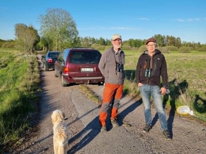 Ulf, Christer o jag inventerade området under en ganska kall o blåsig kväll. Räv, Rådjur, Hare m.m ...